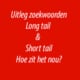Long tail en short tail zoekwoord, wat zijn het?
